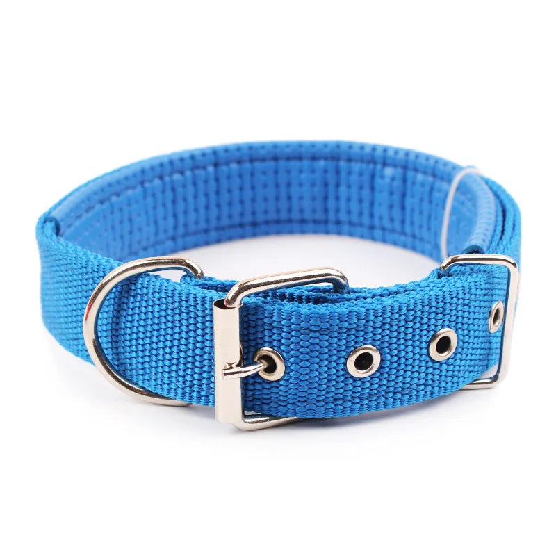 Verstellbares Halsband für Hunde in Blau