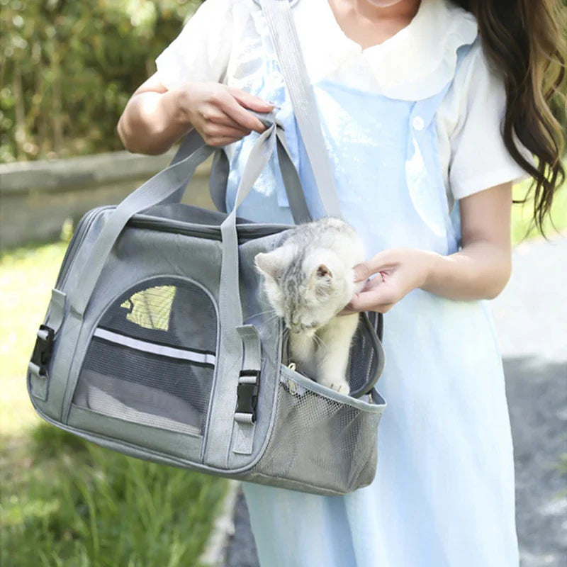 Katze sitzt in offener Transporttasche mit Mesh-Fenster