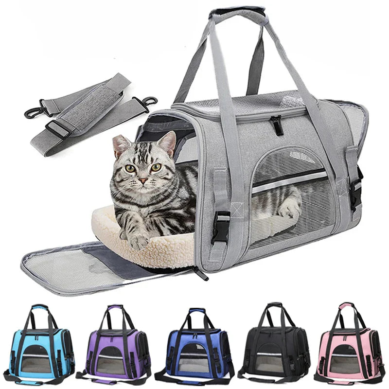 Katze sitzt in offener Transporttasche mit Mesh-Fenster