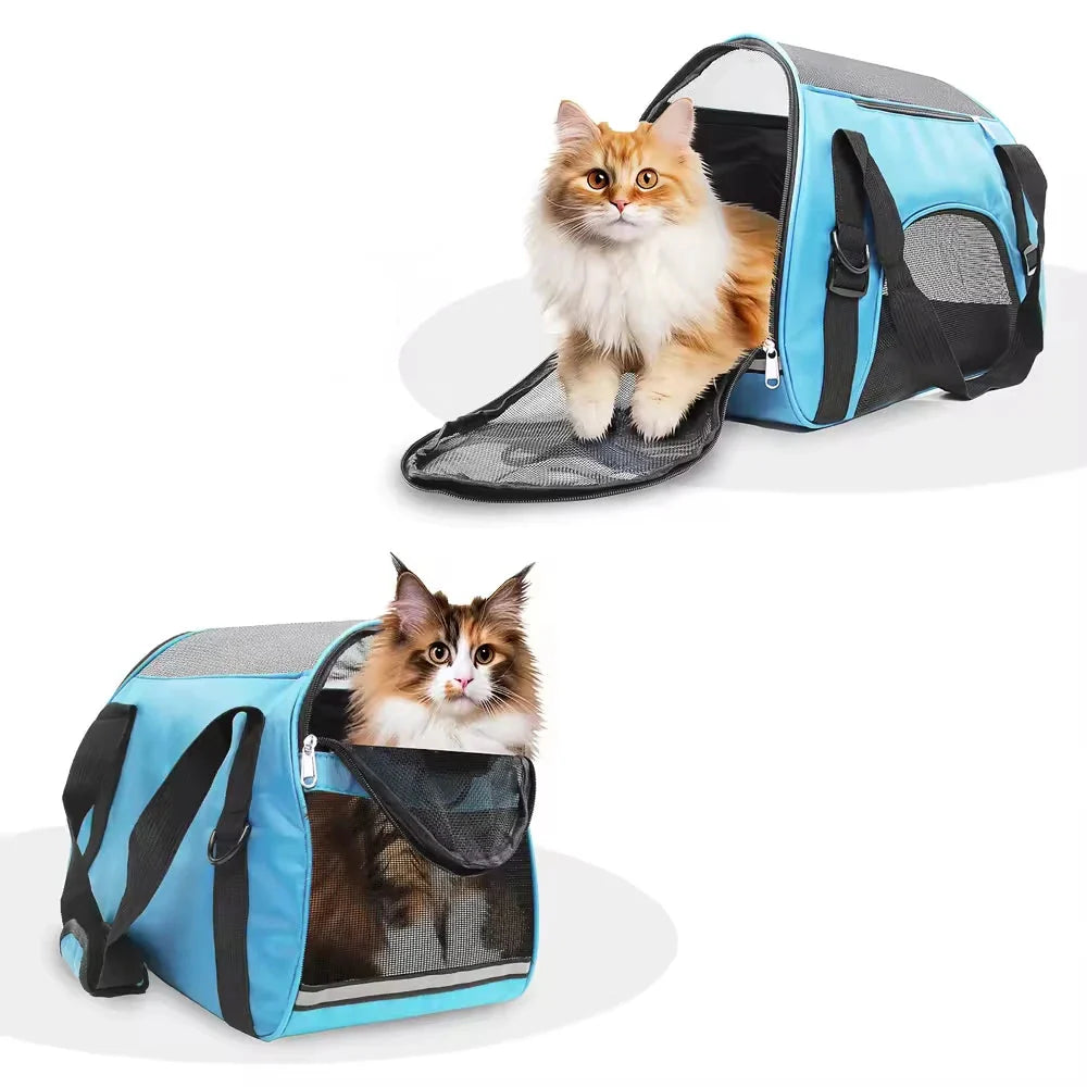 Katze schaut aus Blauer Reisetasche mit Gitter