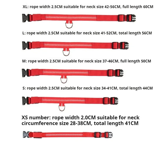 Größenvergleich XS bis XL LED Halsband