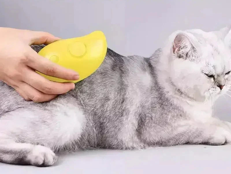 Katze genießt Massage mit Dampfbürst