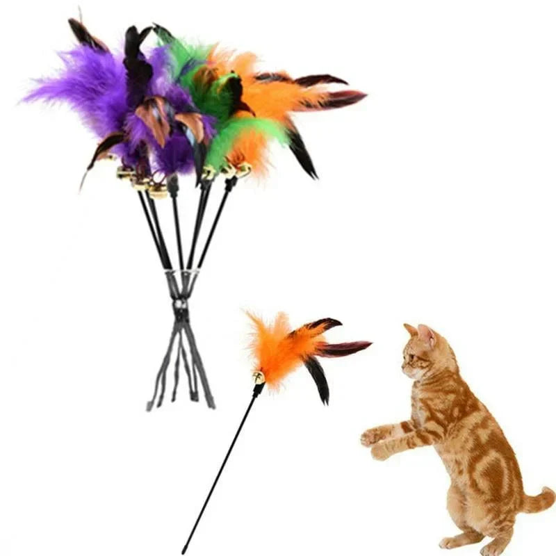 Katzen spielt mit Federstab ohne Seil