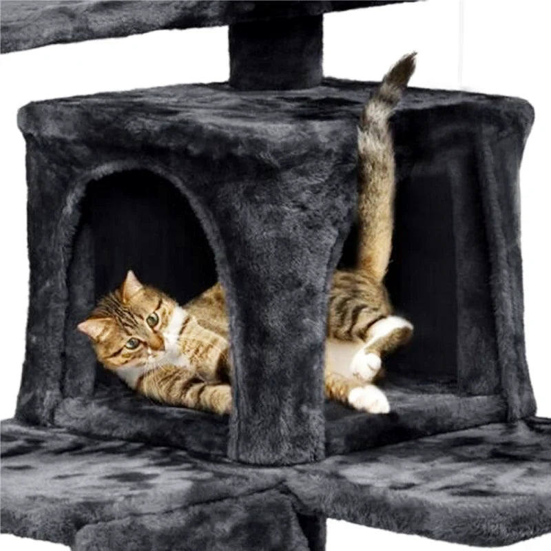 Große Katzenhöhle mit Aussichtsplattform