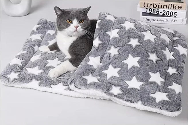 Haustier liegt auf Plüschseite der Matte