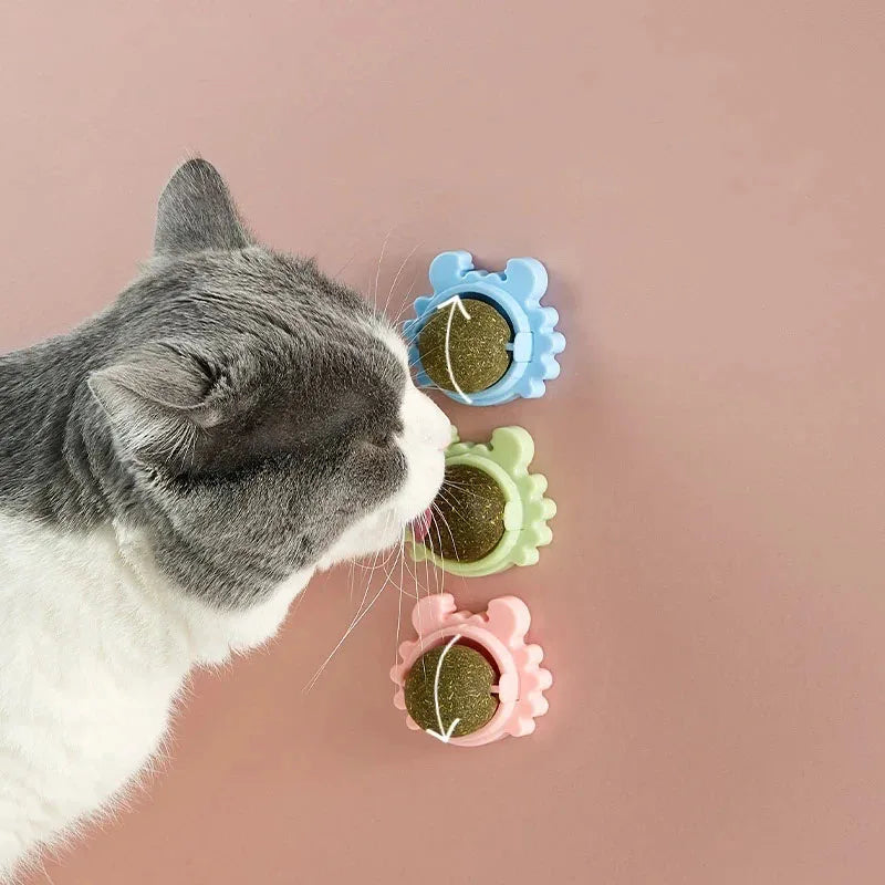 Katze leckt Katzenminze Ball – interaktives Spielzeug