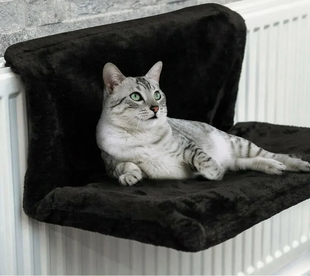 Katze liegt auf weichem Heizkörperbett aus Plüsch