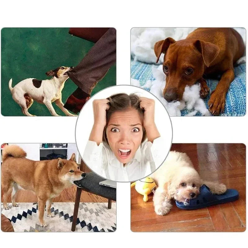 Beispiele was der Leckerli Ball verhindert