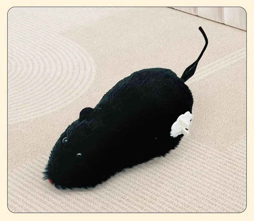 Plüschmaus Katzenspielzeug in Schwarz