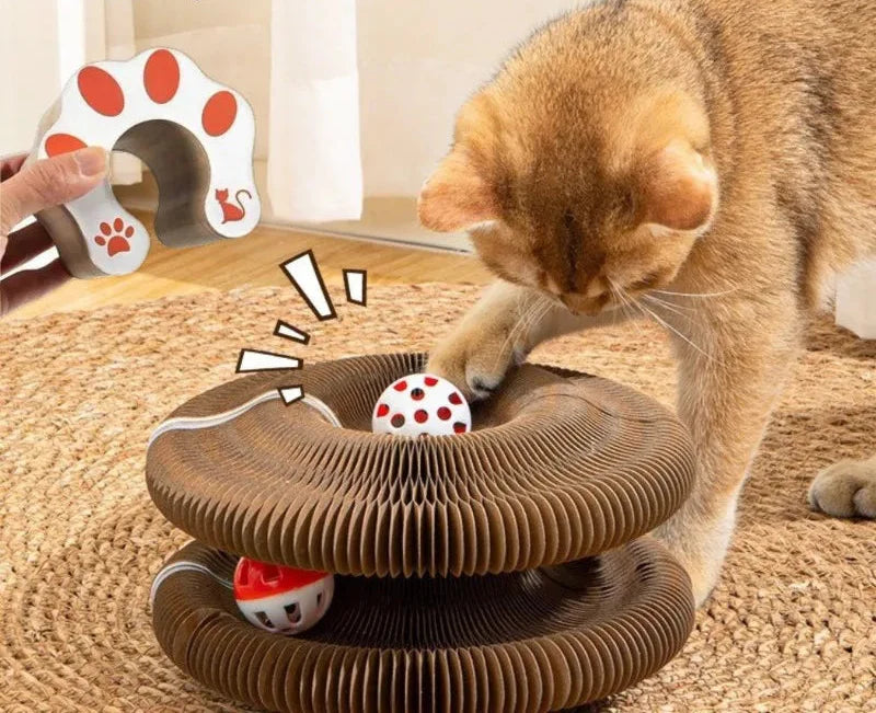 Katze kratzt an flexiblem Kratzbrett mit Spielball