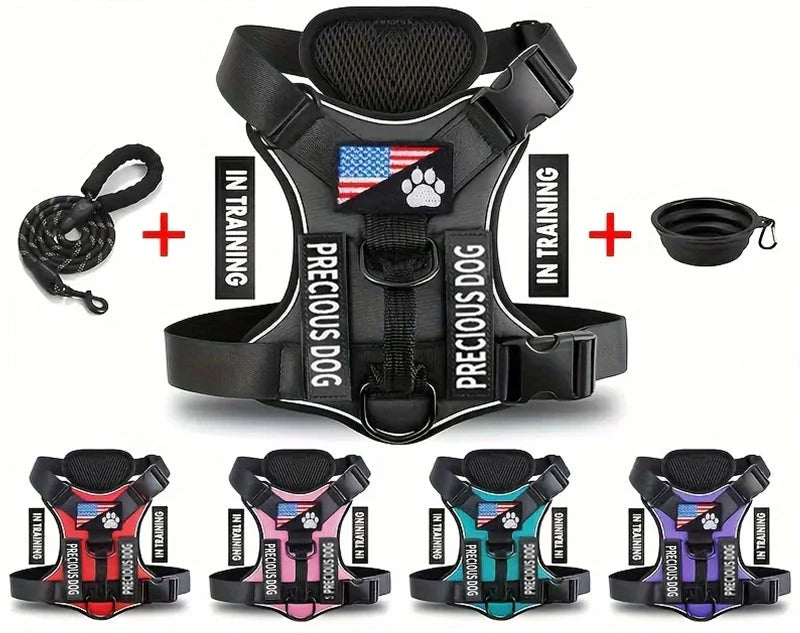 Hundezubehör-Set bestehend aus Geschirr, Leine und Napf