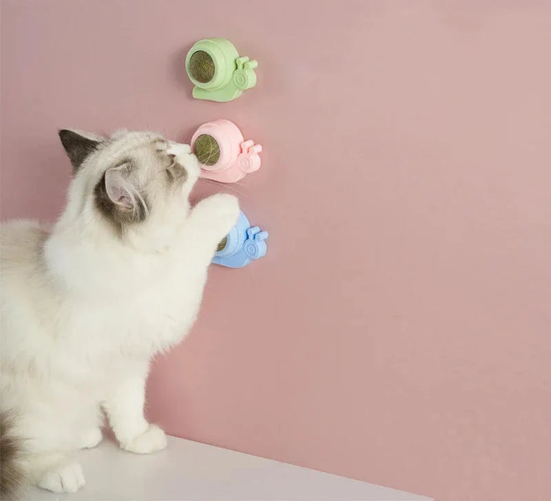 Katzenminze Ball auf Plastikhalterung – rotierbar & farbig