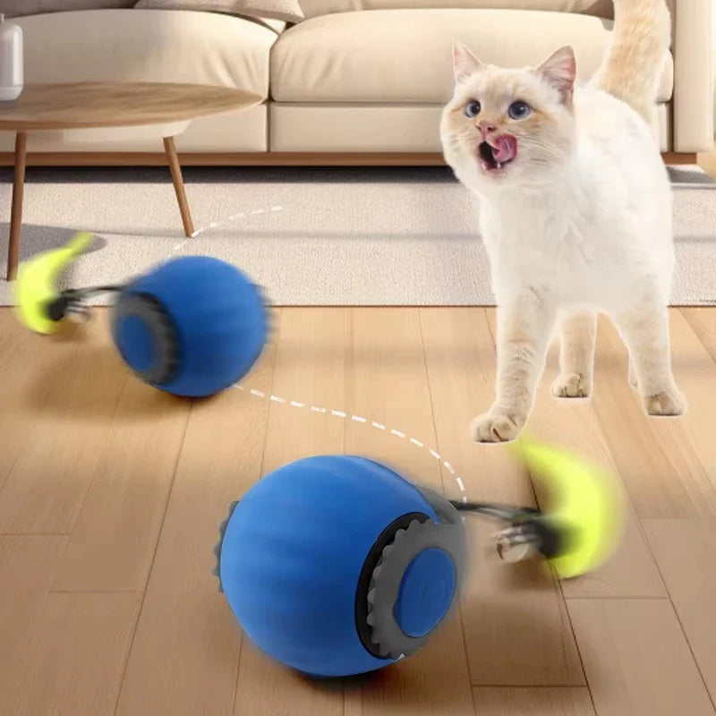 Rollender Spielball für aktive Katzen