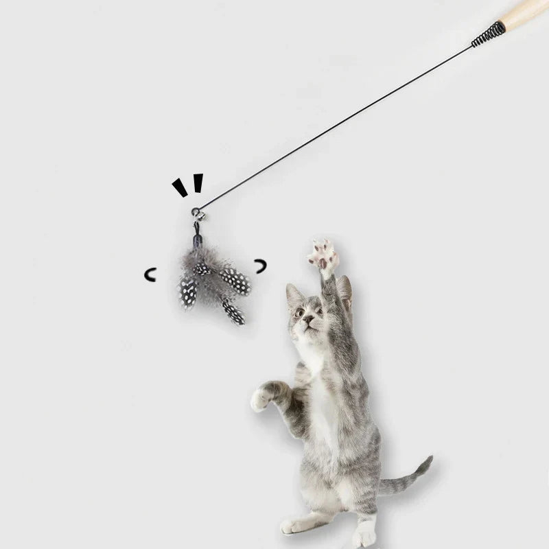 Katze spielt mit Katzenangel mit Feder
