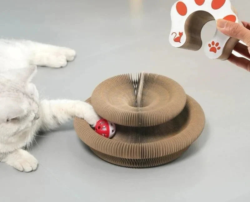 Katze spielt mit Ball im Kratzspielzeug