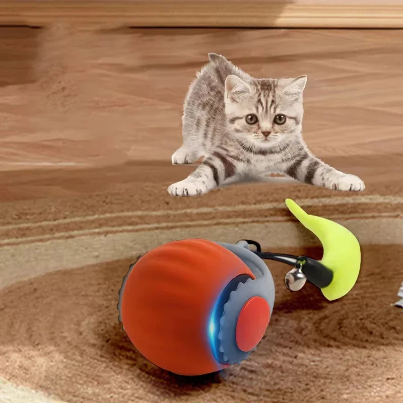 Katze spielt mit Rollendem Spielball