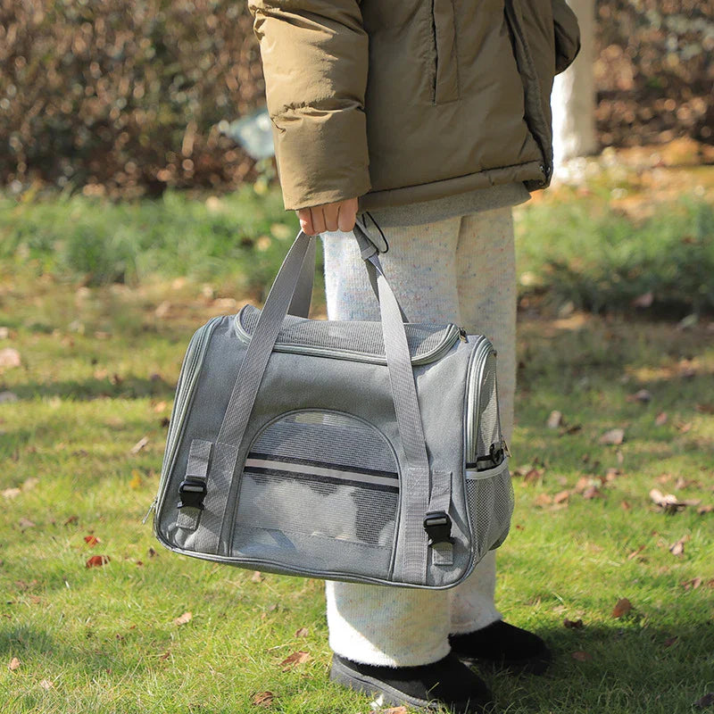 Katze sitzt in offener Transporttasche mit Mesh-Fenster