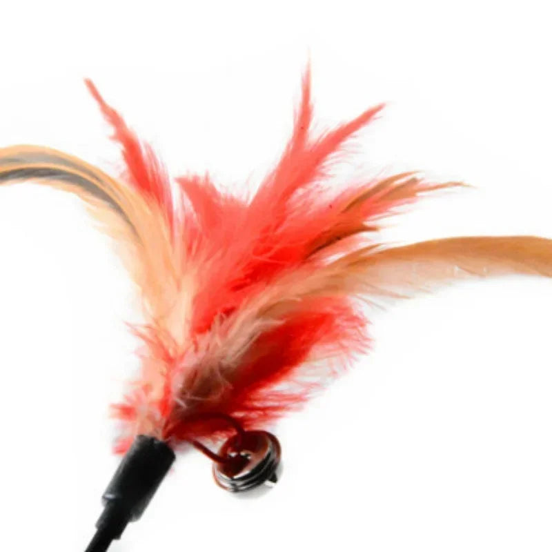 Nahaufnahme: Glöckchen am bunten Federstab für Katzen