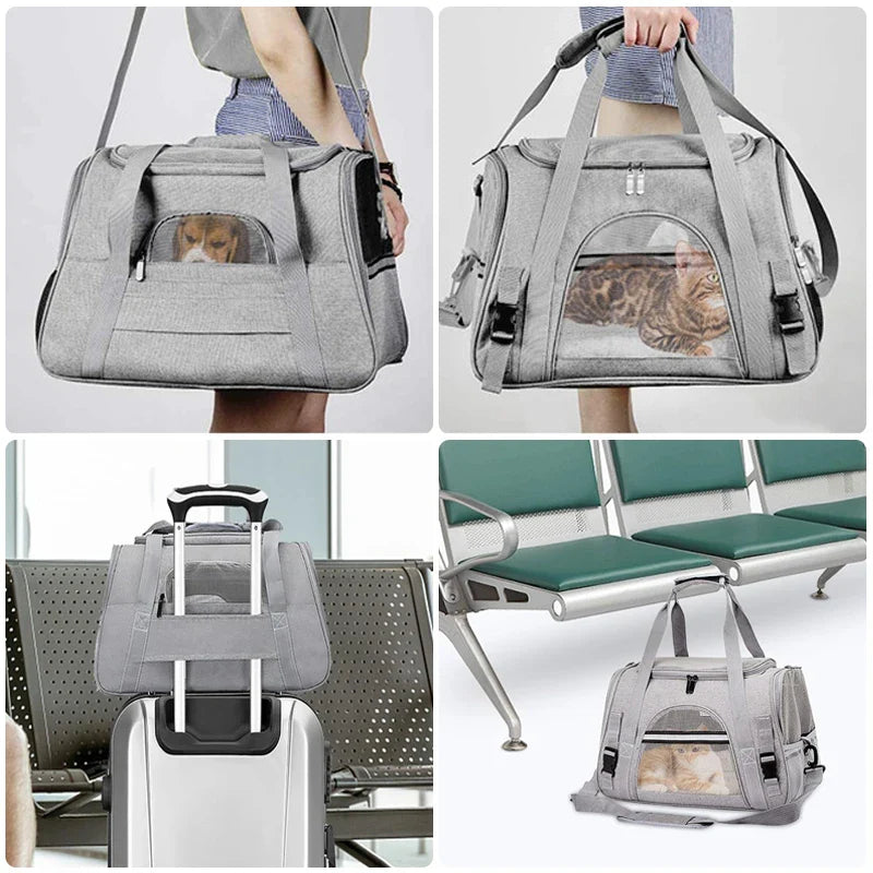 Katzentransporttasche an Koffergriff befestigt – Reiseansicht