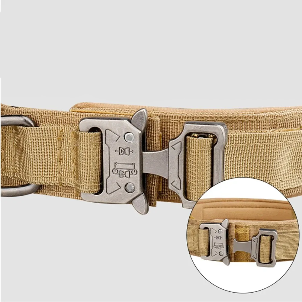 Hunde-Trainingshalsband mit Schnellverschluss